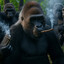 Baked Gorilla