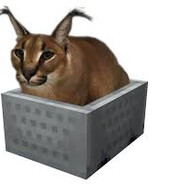 GIDROKSIMETILHINOKSILINDIOKSID