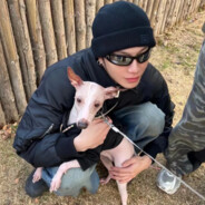 今天吃炸鸡了吗