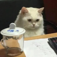 今天不想看论文