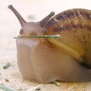 Explosive Roach