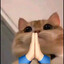 Avatar of Miyata