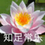 知足常乐