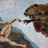 Друг бобров