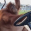 driver