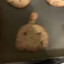 16 pieces of tofu?