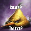 by ɖʝ ʐʊք ʀǟɨɨɨ