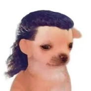 yourBoss︻デ 一 -