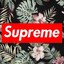 △ Supreme -