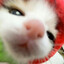 GooberMariofan1027