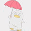 Mr.Raindrop