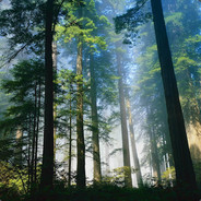 ⫍ ⃢ ⫎嘟嘟@7362