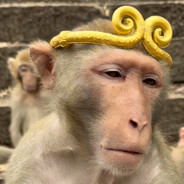 一天百八十次？