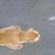 asd