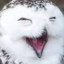 OwlPatrol