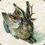 Jackalope