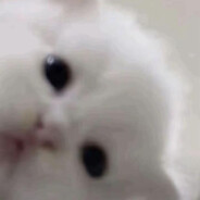 TvT