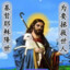 叫我腋酥谢谢喵