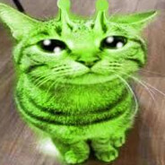 schloopy gloopy