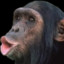 MonkeyBlush