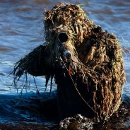 ☣Ranger-Collide☣