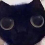 Mushy's avatar