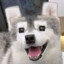 Lrulyu