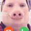 hambuger