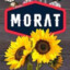 MoRaT