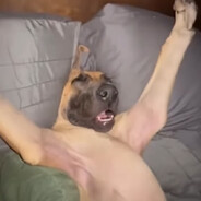 :)