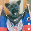vzрывной zvepь