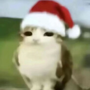 大错特错了！bro