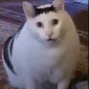 ШМЕЛЬ avatar