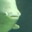 soyfish