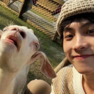 衡中数学老师艾斯