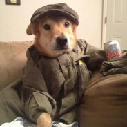 dog Steam avatar