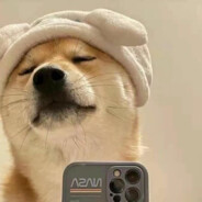 一朵玫瑰压海棠