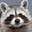 KeeBo