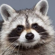 KeeBo