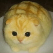 今宵是飘逸的利己主义