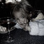 Yearo-