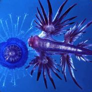 万宗模∞时溯远