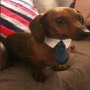 XULI - steam id 76561199506625985