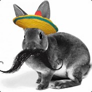 Borderbunny3