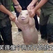 让你见识下什么叫落地成盒