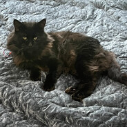 kejczu - steam id 76561198280772552