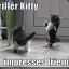 Thrillerr Kittehh