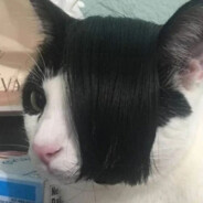 РОССИЙСКИЙ ГУЛЬ