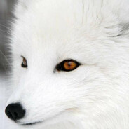 哈基米哦南北绿豆