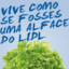 EU SOU UMA ALFACE DO LIDL